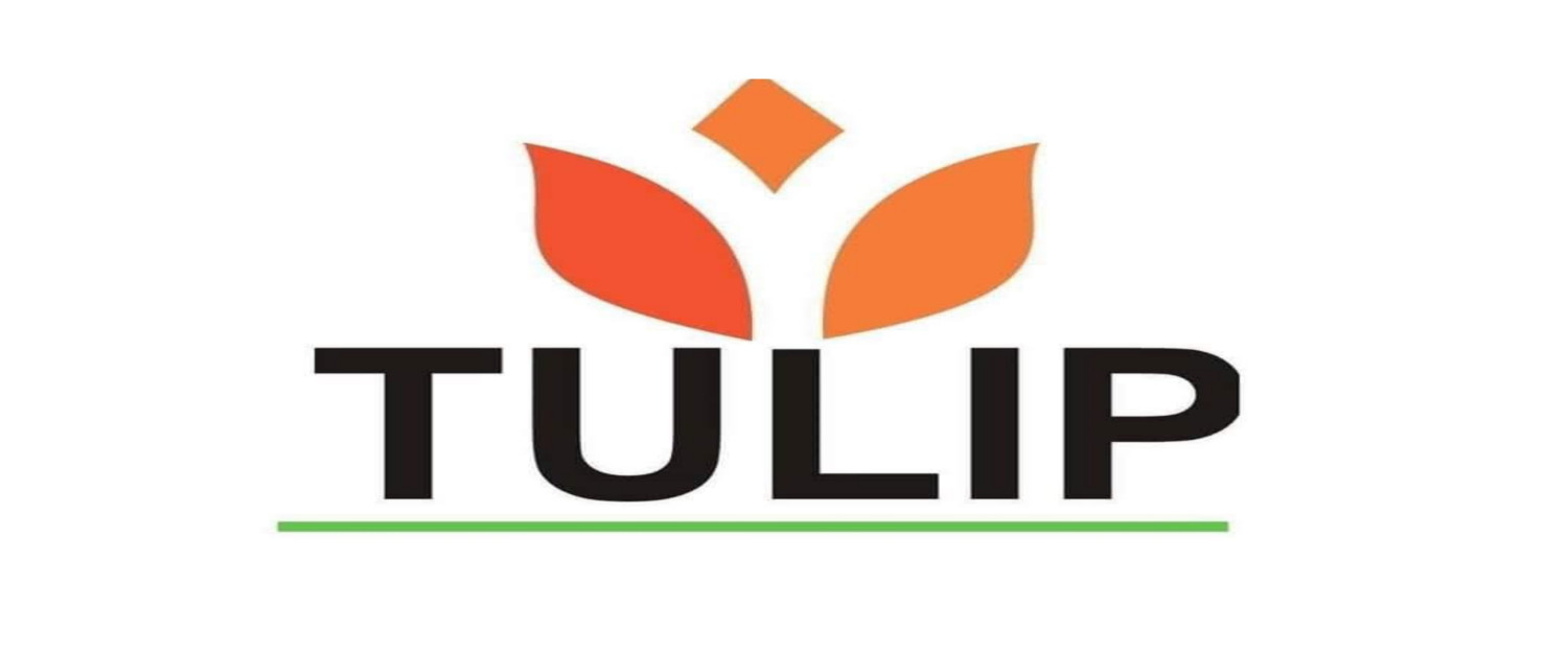 Tulip